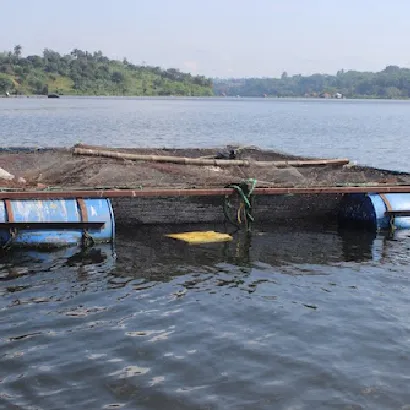 Fish trap floating on Lake Victoria