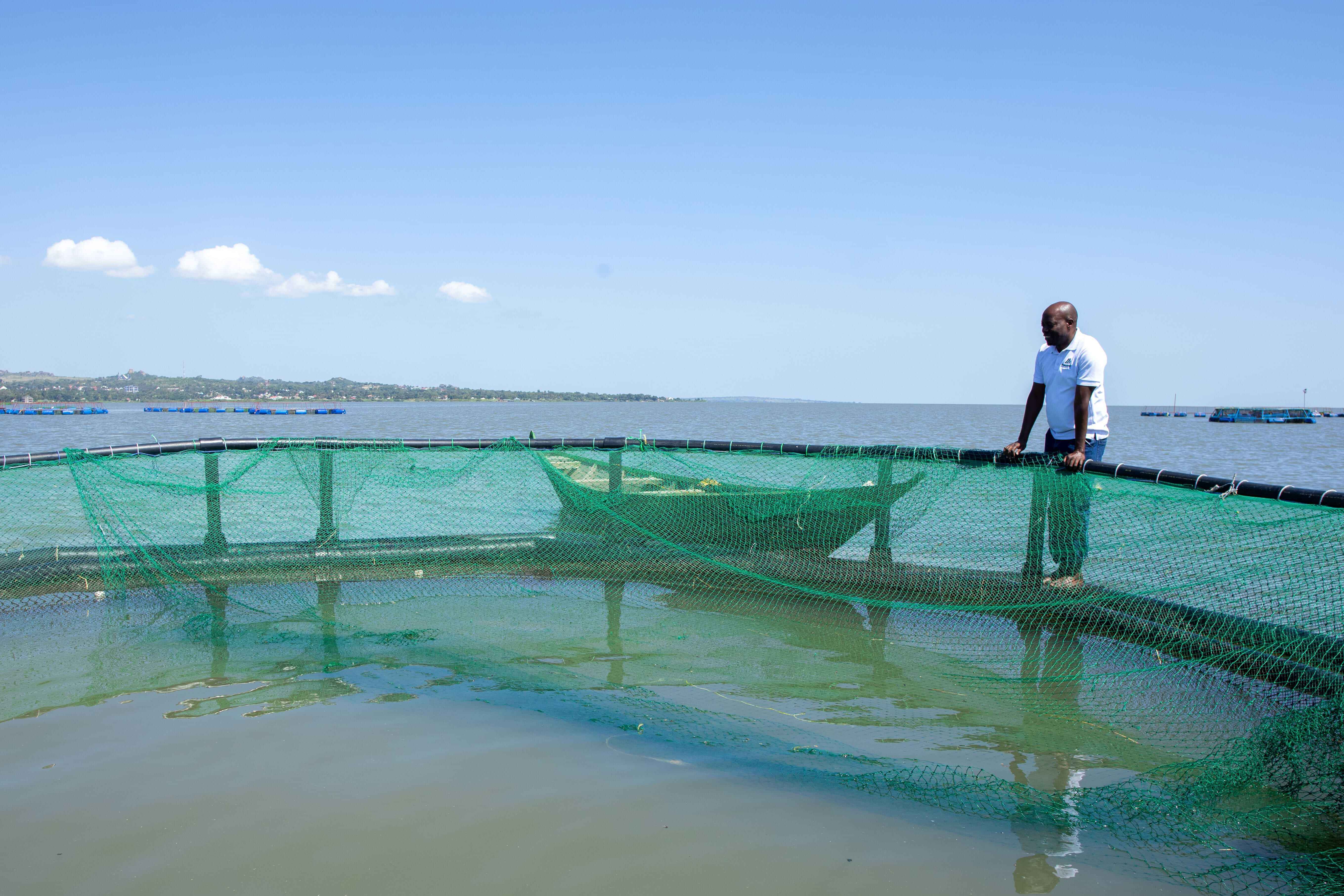 MACONET team and investors at a sustainable aquaculture farm