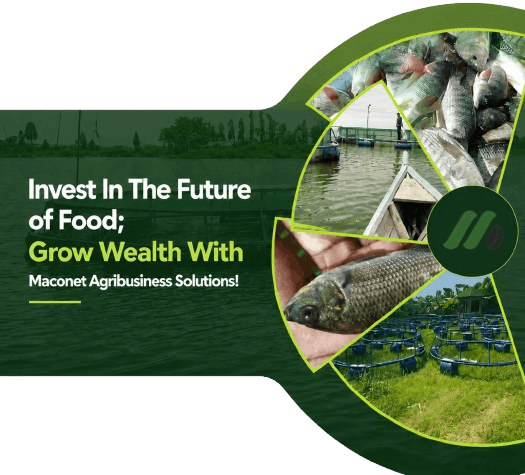 Invest in the Future of Food — Grow Wealth with MACONET Agribusiness Solutions
